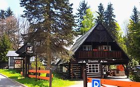 Pension Drevenka